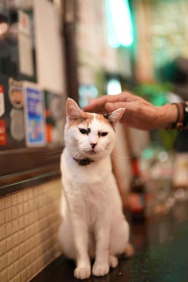 人なつこく、店ではみんなのアイドル的存在