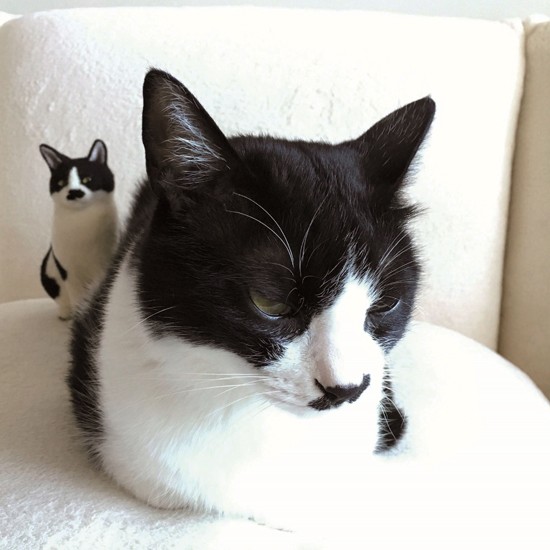 「ついに俺の弟が生まれたのだ」そっくりな羊毛フェルトです！　（提供写真）