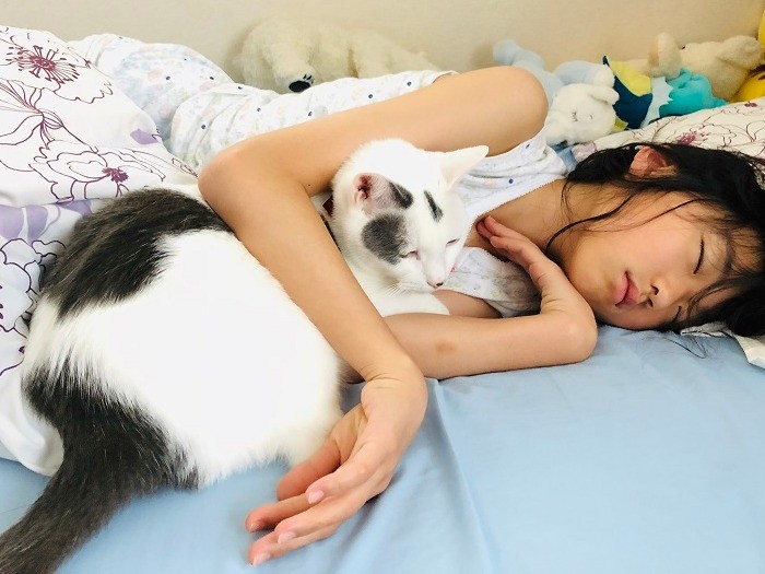 まったりお昼寝中