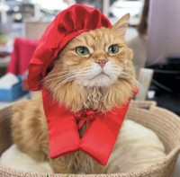 還暦のお祝いをしてもらったチャトラン副社長（画像提供：三協精器）