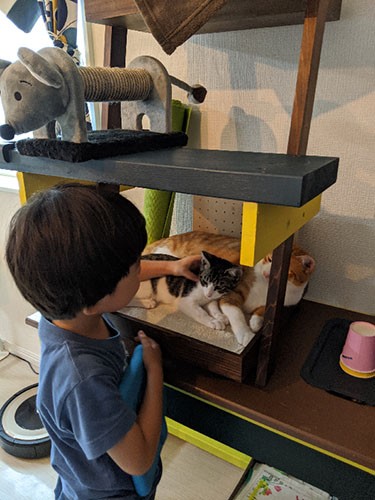 ケンちゃんと、クロ、ポニョ（恵理さん提供）