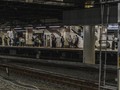 「寂しい」と言った私を駅のホームまで見送ってくれた先輩方の優しさ