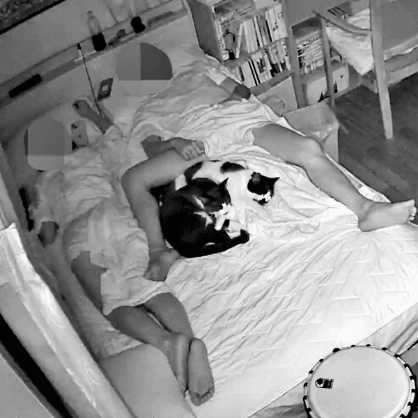 パパの股下で丸まって眠っていた（左から）ダダくん、ミアちゃん。このあとさらにーー（画像提供：マグルの猫さん）