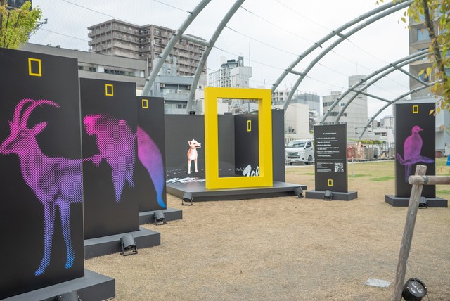 「ＲＥＶＩＶＡＬ　ＺＯＯ　再生動物園」（渋谷・ＭＩＹＡＳＩＴＡ　ＰＡＲＫ４階）