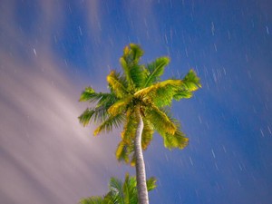 頭脳戦で大量のリターンを狙う。「せこい」私のバレンタイン作戦