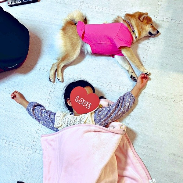 愛犬と一緒に眠る娘さん（画像提供：きらのどんさん）