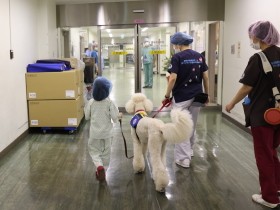 ただ寄り添い、人の心を癒やす犬たち　病院や司法の場、障がいがある家族のいる家庭で