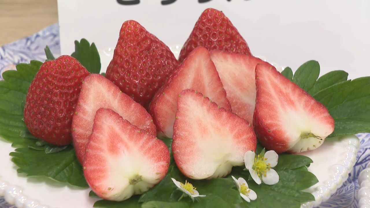 宮城県産オリジナルのイチゴ第３弾「ころろんベリー」誕生　２０２６年から栽培開始