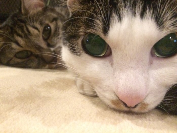 美形なのでアップにも耐えられ…近すぎたかな？