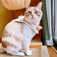 「ややキュッ」な口元のルールーちゃん（画像提供：kaoruさん）