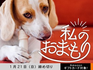 【アマギフ対象】「私のおまもり」でエッセイ募集！1月21日（日）締切
