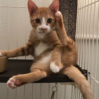 大事なところはしっかり隠してポーズ