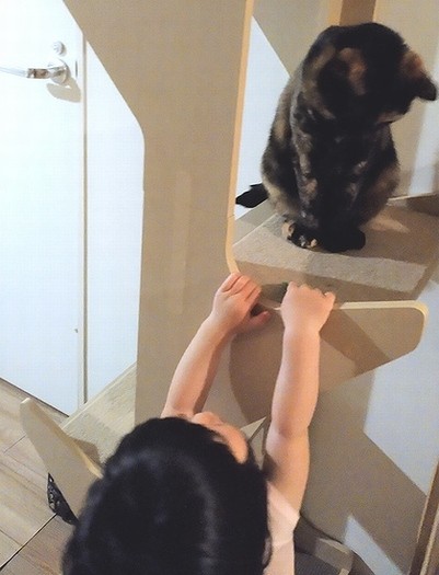 娘「あそぼうよー」