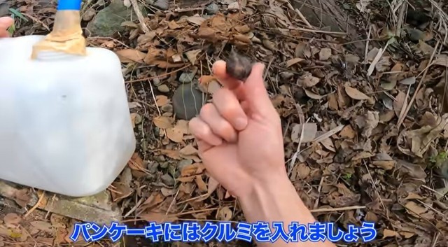パンケーキに入れるためのクルミも収穫／ちーとん。さん提供