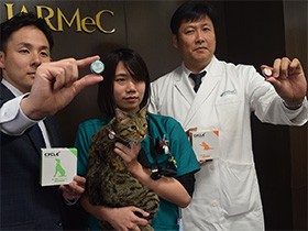犬や猫の健康を守るセンサー開発　首輪につけて活動量を数値化