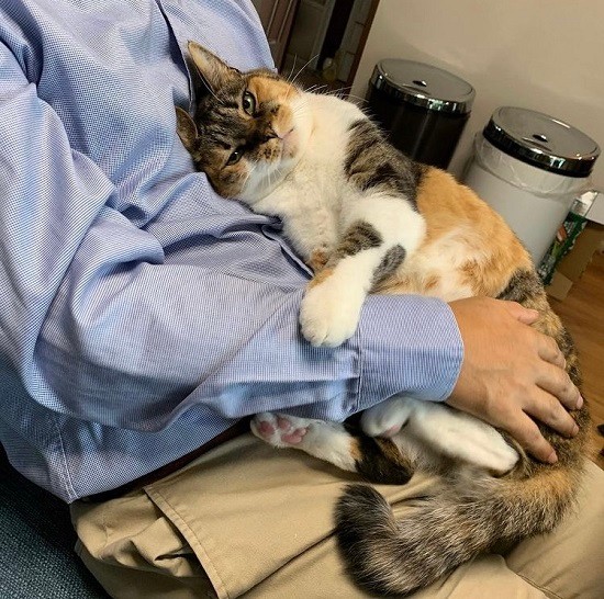 人呼んで、あざと可愛いもーちゃん。田形さんの再婚後、パパにもすぐ甘えたそう。「ふふふ、犬派のパパもいちころよ」（田形さん提供）