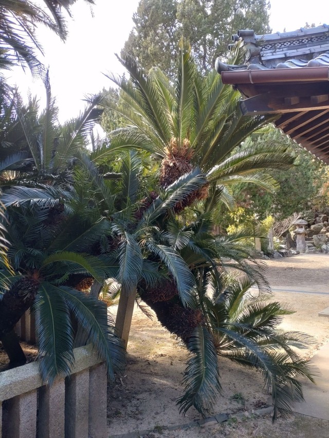 柵から大きくはみ出している