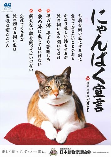 あいちゃんは、「にゃんぱく宣言」のポスターモデルになっています