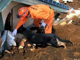 救助犬の捜索活動で「日頃の備えの大切さ痛感」　和歌山県
