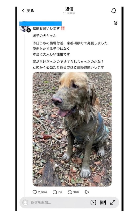 セナくんの画像を無断転用し、「迷い犬」としてThreads（スレッズ）にポストされた虚偽の投稿（※現在は削除されている）