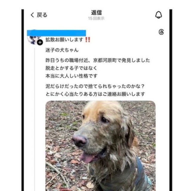 セナくんの画像を無断転用し、「迷い犬」としてThreads（スレッズ）にポストされた虚偽の投稿（※現在は削除されている）