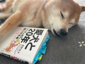 ポイントは「腰を温める」　すぐできる！愛犬と20年いっしょに暮らすための温活 