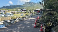 倒木があった現場