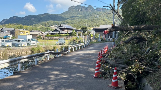 倒木があった現場