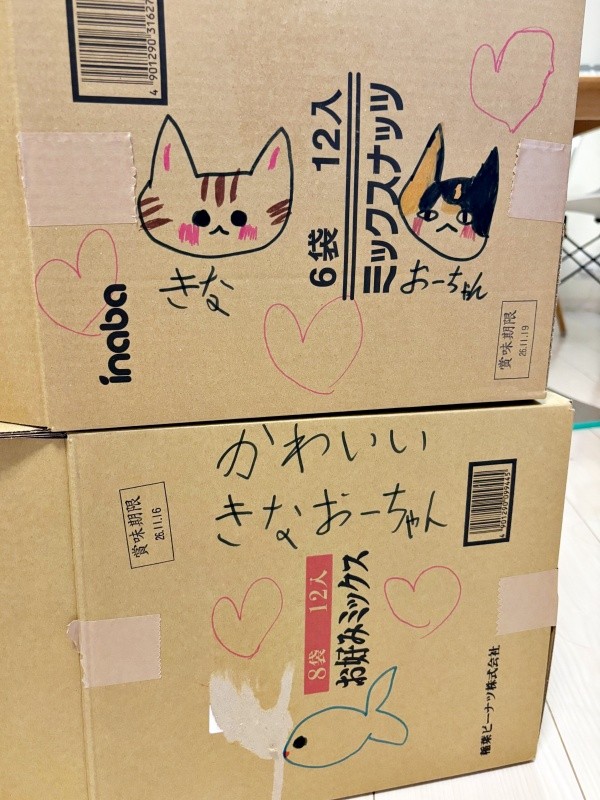 段ボール箱ハウスには、きなこくんと、おだんごちゃんの似顔絵も（画像提供：きなことおだんごさん）