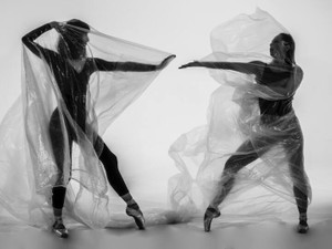 「可哀想なコロナ世代」は舞台の上で、高貴さとブランド品を見失った