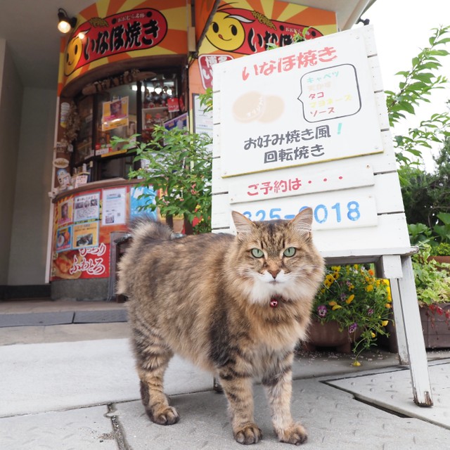 店の看板前でポーズをとる空ちゃん