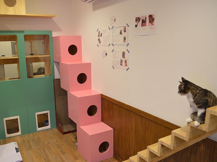 カフェの中には階段などが設けられている