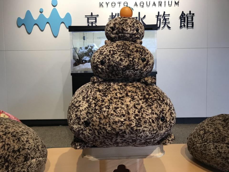 オオサンショウウオ“多頭飼い”がブーム！？キモカワ巨大ぬいぐるみが謎