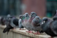 画像はイメージです（Lidia_Lo／stock.adobe.com）
