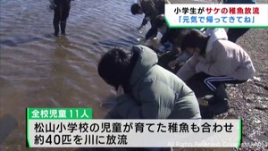 小学生がサケの稚魚を放流　宮城・大崎市
