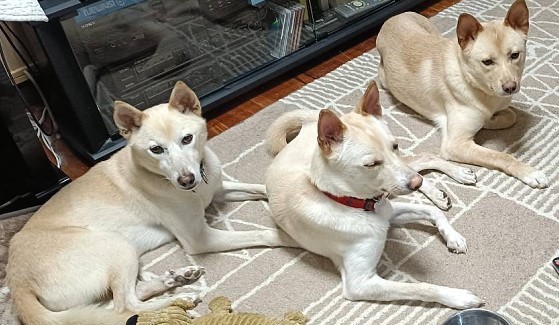 岡山市 提供