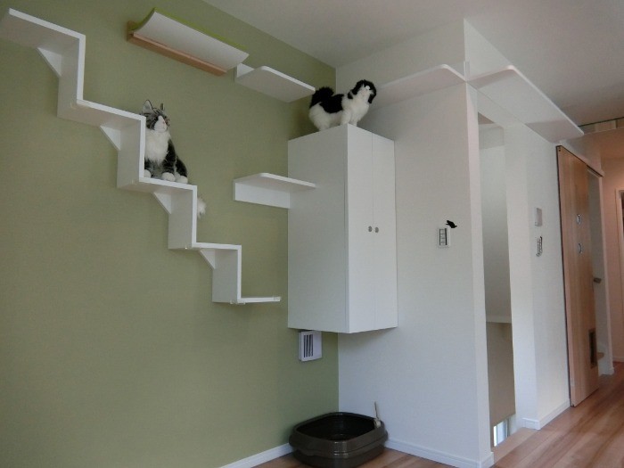 キャットウォークのほかに、猫のくつろぎスペースも設置