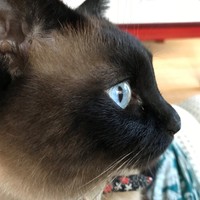 横顔が特に綺麗なミカちゃん