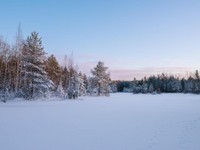 憎さが愛おしさに変わったとき。雪を見ると思い出す二つの思い出