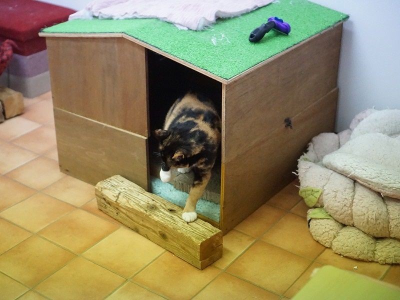 室内には手作りハウスも