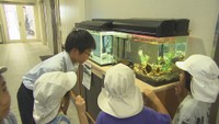 誰もが楽しめるミニ水族館を！100種類以上の水の生き物たちを育てる多度津高校・生物科学部【青春のキセキ】