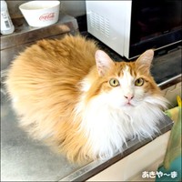 現在6歳になったかなたくん（画像提供：あきや～まさん）