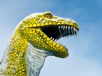 牙に生えたつららがヨダレみたいに見えます（提供画像）