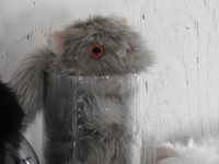 容器にスルリと入り込むぬいぐるみ