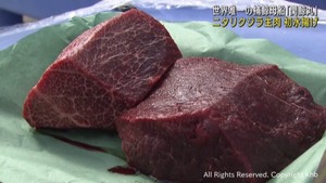 世界唯一の捕鯨母船関鯨丸　ニタリクジラを仙台港に初水揚げ