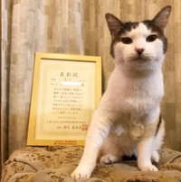 17歳の時にもらった、長寿表彰状