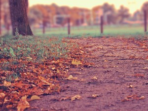 幸せかどうかは最後まで分からない。その瞬間に向けて私が決めたこと