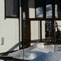 エゾユキウサギの美しさが話題に（びえいハスカップファーム提供）