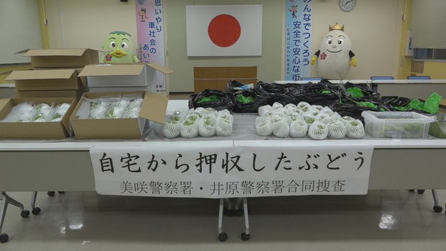 警察が押収したブドウ　美咲警察署 8日