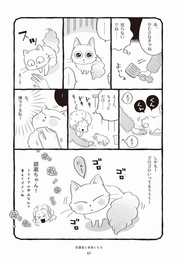 「まんがで読む はじめての保護猫」から